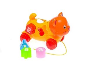 Õpetlik mänguasi Kass vormidega hind ja info | Arendavad mänguasjad | kaup24.ee