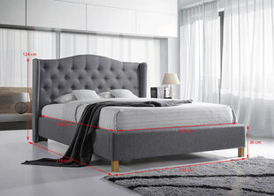 Кровать Aspen, 160x200 см цена и информация | Кровати | kaup24.ee