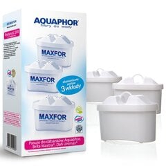 Veefilter Aquaphor filter cartridge B100-25 Maxfor x 3 hind ja info | Filterkannud ja filtrid | kaup24.ee
