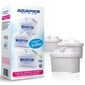 Veefilter Aquaphor filter cartridge B100-25 Maxfor x 3 цена и информация | Filterkannud ja filtrid | kaup24.ee