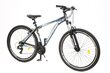 JALGRATAS 29" AIM 1.2 HALL/SININE/8681933422002 ROCKSBIKE цена и информация | Jalgrattad | kaup24.ee