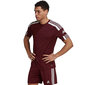 Meeste lühikeste varrukatega pluus Adidas Squadra 21 Jersey GN8091, burgundia värv hind ja info | Jalgpalli varustus ja riided | kaup24.ee