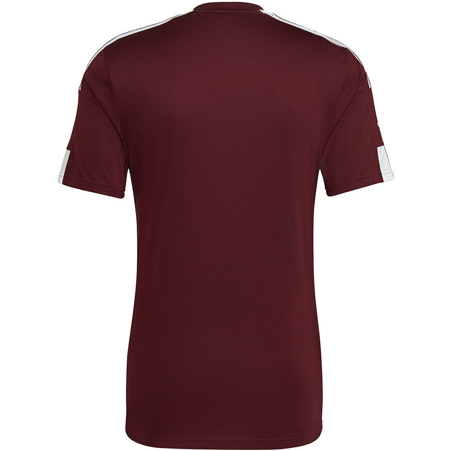 Meeste lühikeste varrukatega pluus Adidas Squadra 21 Jersey GN8091, burgundia värv hind ja info | Jalgpalli varustus ja riided | kaup24.ee