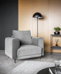 Кресло NORE Dalia, серый цвет цена и информация | Кресла в гостиную | kaup24.ee