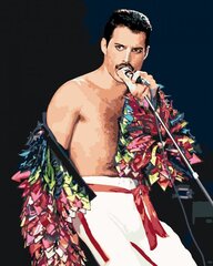 Maalid numbrite järgi "Freddie Mercury" 40 x 50 G Z101100892 hind ja info | Maalid numbri järgi | kaup24.ee