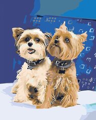 Maalid numbrite järgi "Väikesed koerad " 40 x 50 G Z5745 hind ja info | Maalid numbri järgi | kaup24.ee