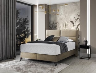 Кровать NORE Safiro, 160x200 см, бежевый цвет цена и информация | Кровати | kaup24.ee
