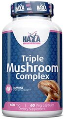 Тройной грибной комплекс Haya Labs, 60 веган капсул цена и информация | Витамины, пищевые добавки, препараты для хорошего самочувствия | kaup24.ee