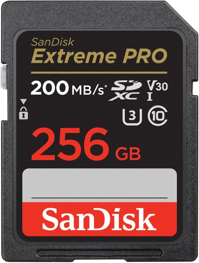 Sandisk By Western Digital SDSDXXD-256G-GN4IN 256 GB цена и информация | Mobiiltelefonide mälukaardid | kaup24.ee