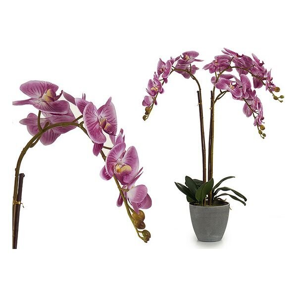 Kunstlik orhidee 77 x 50 cm tumeroosa/antratsiit - hind ja info | Dekoratsioonid | kaup24.ee