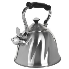 Non-electric kettle Maestro MR-1305 Stainless steel 3L цена и информация | Чайники, кофейники | kaup24.ee