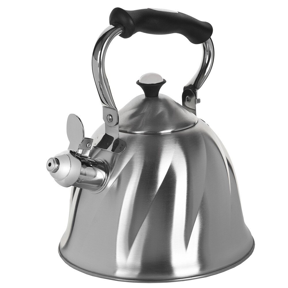 Non-electric kettle Maestro MR-1305 Stainless steel 3L цена и информация | Kohvikannud, teekannud | kaup24.ee