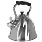 Non-electric kettle Maestro MR-1305 Stainless steel 3L hind ja info | Kohvikannud, teekannud | kaup24.ee