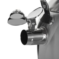 Non-electric kettle Maestro MR-1305 Stainless steel 3L цена и информация | Чайники, кофейники | kaup24.ee