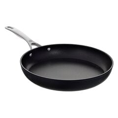 Сковорода Frying Pan Ballarini Alba titanium ALBG0L0.26U, 26 см цена и информация | Cковородки | kaup24.ee