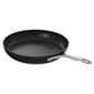 Pann Frying Pan Ballarini Alba titanium 26 cm ALBG0L0.26U hind ja info | Pannid | kaup24.ee