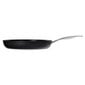 Pann Frying Pan Ballarini Alba titanium 26 cm ALBG0L0.26U цена и информация | Pannid | kaup24.ee