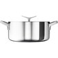 Kastmepott Electrolux E9KLSA11 saucepan Round Chrome цена и информация | Potid ja kiirkeedupotid | kaup24.ee