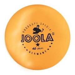 Мячи для настольного тенниса Joola Rossi, 6 шт. цена и информация | Шарики для настольного тенниса | kaup24.ee