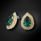 Naiste kõrvarõngad Diamond Sky „Jasmine (Emerald)“ koos Swarovski kristallidega DS02A339 hind ja info | Kõrvarõngad | kaup24.ee