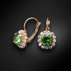 Серьги "Великолепие II (Fern Green)" с кристаллами Swarovski™ DS02A340 цена и информация | Серьги | kaup24.ee