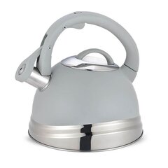 Veekeetja Non-electric kettle Maestro MR-1304C Silicone, Stainless steel цена и информация | Чайники, кофейники | kaup24.ee