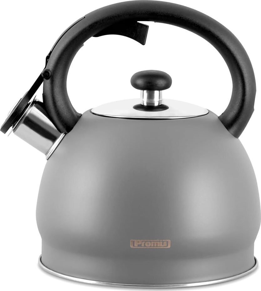 TMC11G PROMIS Kettle 2.0 l, MATEO, gray цена и информация | Kohvikannud, teekannud | kaup24.ee