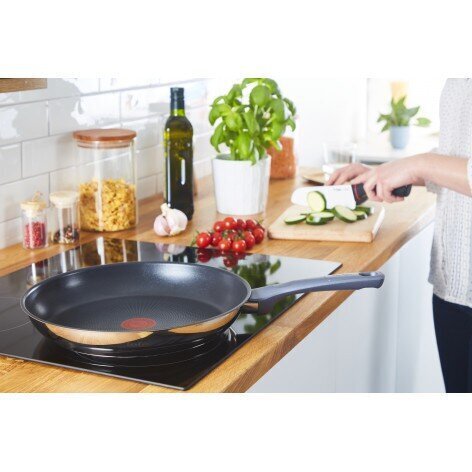 Tefal Daily Cook G7300755 frying pan All-purpose pan Round цена и информация | Pannid | kaup24.ee