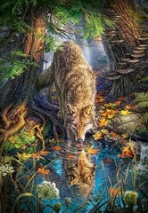 Pusle Castorland Puzzle Wolf in the Wild, 1500 osaline цена и информация | Пазлы | kaup24.ee