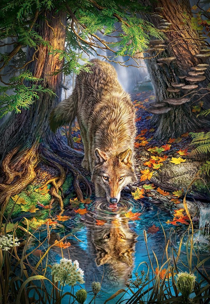 Pusle Castorland Puzzle Wolf in the Wild, 1500 osaline цена и информация | Pusled | kaup24.ee