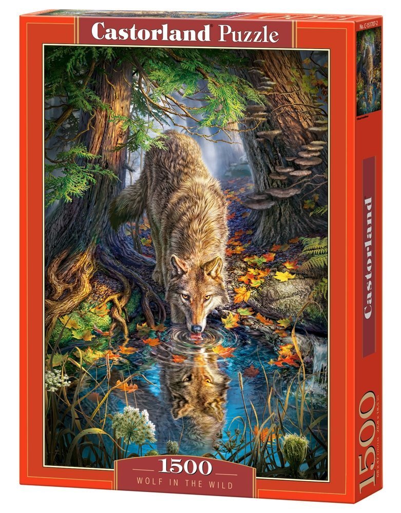 Pusle Castorland Puzzle Wolf in the Wild, 1500 osaline hind ja info | Pusled | kaup24.ee