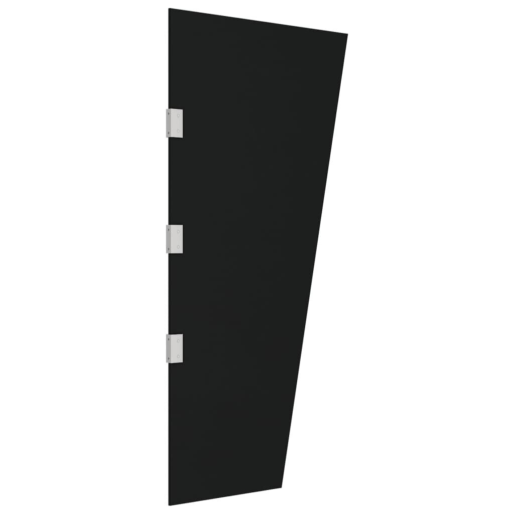 vidaXL ukse varikatuse külgpaneel, must 50x100 cm, karastatud klaas цена и информация | Päikesevarjud, markiisid ja alused | kaup24.ee