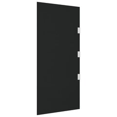 vidaXL ukse varikatuse külgpaneel, must 50x100 cm, karastatud klaas hind ja info | Päikesevarjud, markiisid ja alused | kaup24.ee
