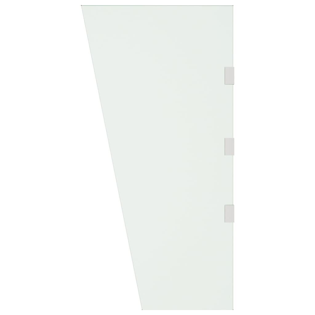 vidaXL ukse varikatuse külgpaneel, läbipaistev 50x100 cm, klaas hind ja info | Päikesevarjud, markiisid ja alused | kaup24.ee