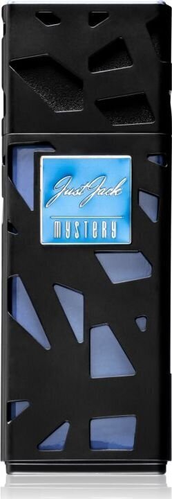 Parfüümvesi Armaf Just Jack Mystery EDP meestele, 100 ml hind ja info | Meeste parfüümid | kaup24.ee