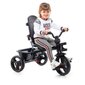 Kolmerattaline jalgratas Urban Trike Basic Molto (99 cm) hind ja info | Kolmerattalised jalgrattad | kaup24.ee