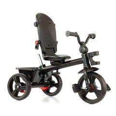 Трехколесный велосипед Urban Trike Basic Molto (99 см) цена и информация | Molto Товары для детей и младенцев | kaup24.ee