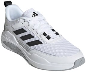 Мужские кроссовки Adidas Trainer V GX0733 GX0733/9, белые цена и информация | Adidas Мужская обувь | kaup24.ee