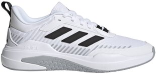 Мужские кроссовки Adidas Trainer V GX0733 GX0733/9, белые цена и информация | Кроссовки для мужчин | kaup24.ee