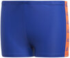 Adidas Ujumispüksid Yb Tape Boxer Royal Blue hind ja info | Poiste ujumispüksid | kaup24.ee