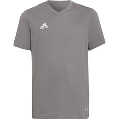 Laste T-särk Adidas Entrada 22 HC0444, hall цена и информация | Рубашки для мальчиков | kaup24.ee