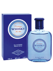 Tualettvesi Evaflor Whisky Vintage EDT, meestele 100 ml hind ja info | Meeste parfüümid | kaup24.ee