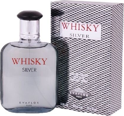 Tualettvesi Evaflor Whisky Silver For Men EDT meestele, 100 ml hind ja info | Meeste parfüümid | kaup24.ee