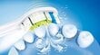 Elektriline hambahari Philips Sonicare HX6851/34 цена и информация | Elektrilised hambaharjad | kaup24.ee