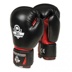 Боксерские перчатки DBX Bushido ARB, 14 oz цена и информация | Боевые искусства | kaup24.ee