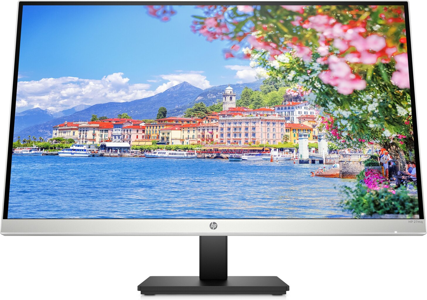 HP 1F2J9AA hind ja info | Monitorid | kaup24.ee