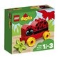 10859 LEGO® DUPLO Minu esimene lepatriinu цена и информация | Klotsid ja konstruktorid | kaup24.ee