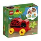 10859 LEGO® DUPLO Minu esimene lepatriinu hind ja info | Klotsid ja konstruktorid | kaup24.ee