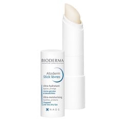 Huulepalsam Bioderma Atoderm Levres, 4 g цена и информация | Помады, бальзамы, блеск для губ | kaup24.ee