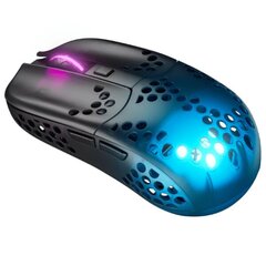 Компьютерная мышь Xtrfy MZ1 Wireless, черный  цена и информация | Мыши | kaup24.ee